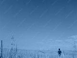 preview cold