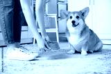 preview cold