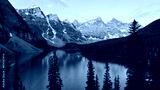 preview cold