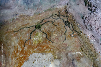 image to crop