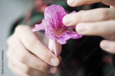 image to crop