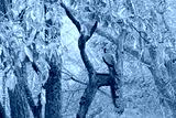 preview cold
