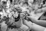 preview bw