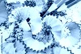preview cold