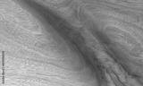 preview bw