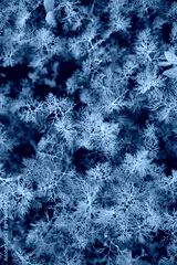 preview cold