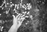 preview bw