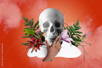 image to crop