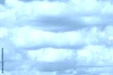 preview cold