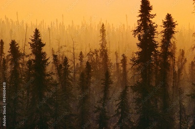 image to crop