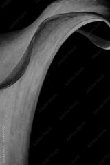 preview bw
