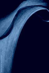 preview cold