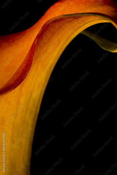 image to crop
