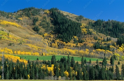 image to crop