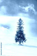 preview cold