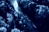 preview cold