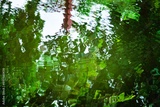 preview original