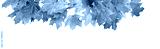 preview cold