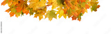 preview original