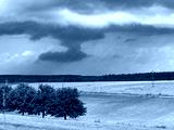 preview cold
