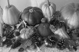 preview bw