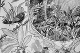 preview bw