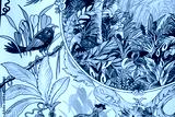 preview cold