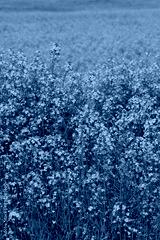 preview cold