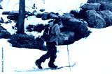 preview cold
