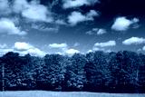 preview cold