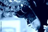 preview cold