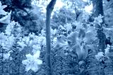preview cold