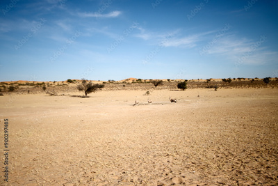 image to crop