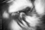 preview bw
