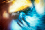 preview original