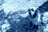 preview cold