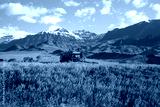 preview cold
