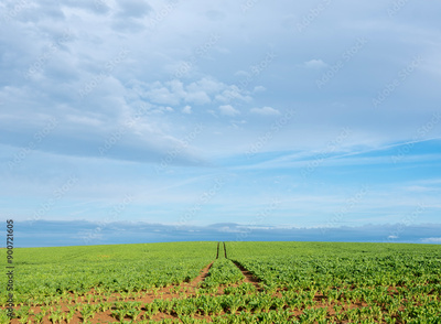 image to crop