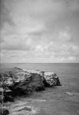 preview bw
