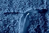 preview cold