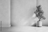preview bw