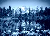 preview cold