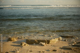 preview original