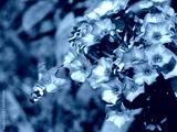 preview cold