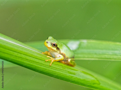 image to crop