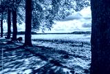 preview cold
