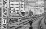 preview bw