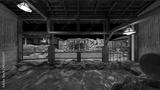 preview bw