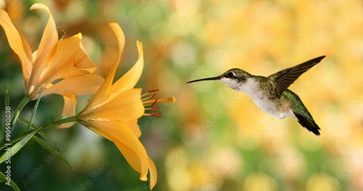 image to crop
