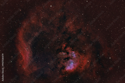 image to crop